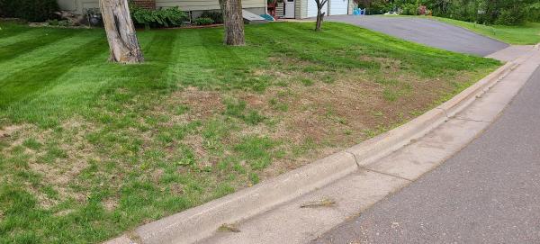 Duluth Lawn and Snow