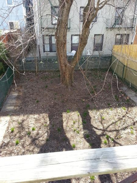 Eben-Ezer Tree Service