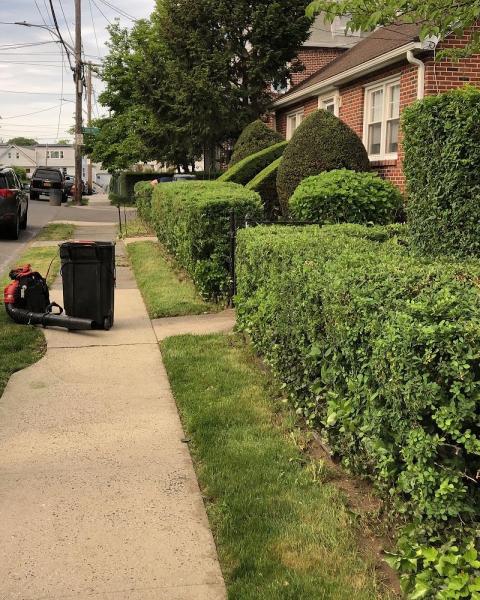 Tera Landscaping Corp.