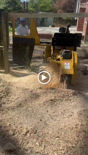Premier Tree Service Care LLC