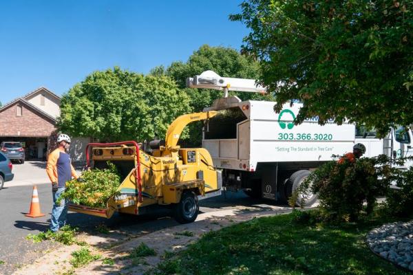 Ironwood Earthcare Tree Trimming and Removal
