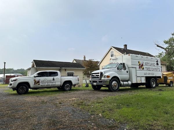 Maryland Tree Experts