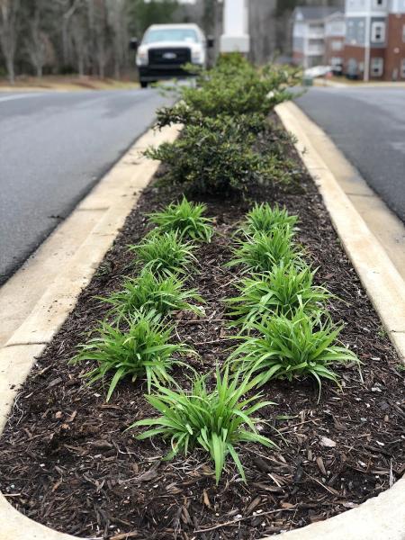 Earthclean LLC