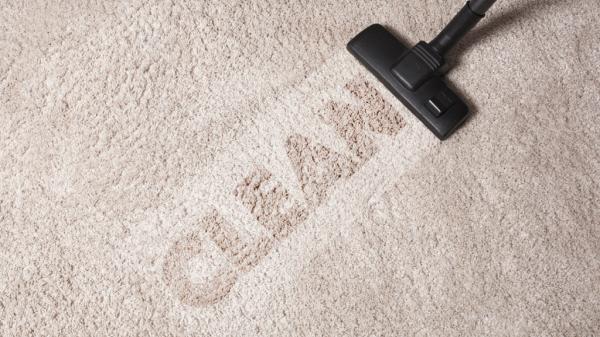 Carpetcleanersplus