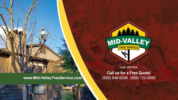 Mid-Valley Tree Service