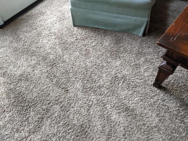 Carolina Carpet Cleaning