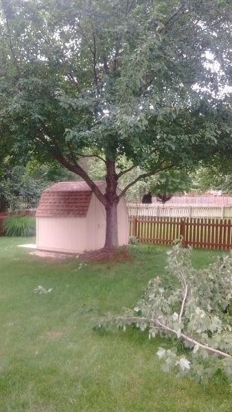 West Omaha Tree Service