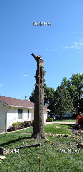 West Omaha Tree Service