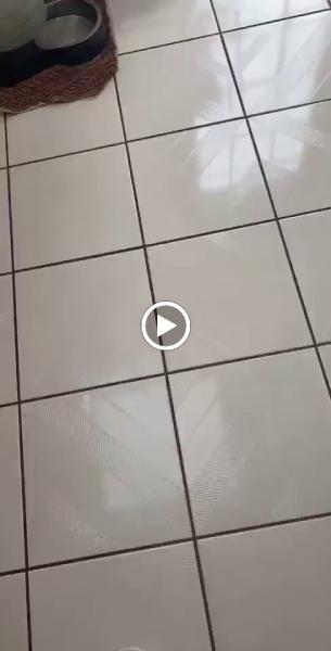 The Cleaning Advantage House Cleaning Services
