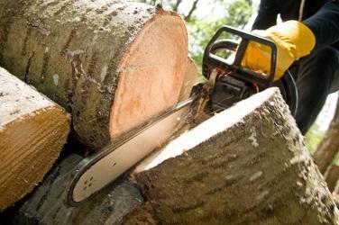 Kustom Trim Tree Service LLC