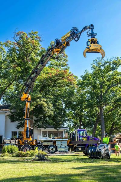 Bullys Tree Service