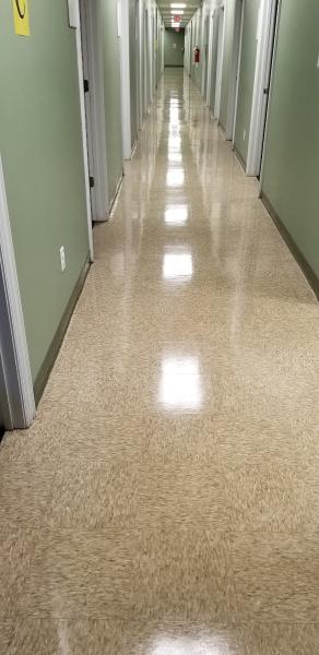 Shelton Improvements