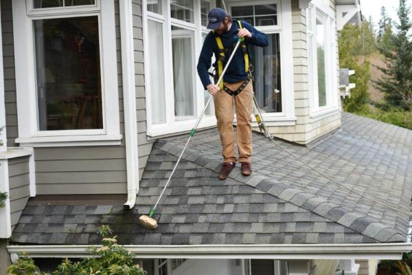 Puyallup Roof Cleaning