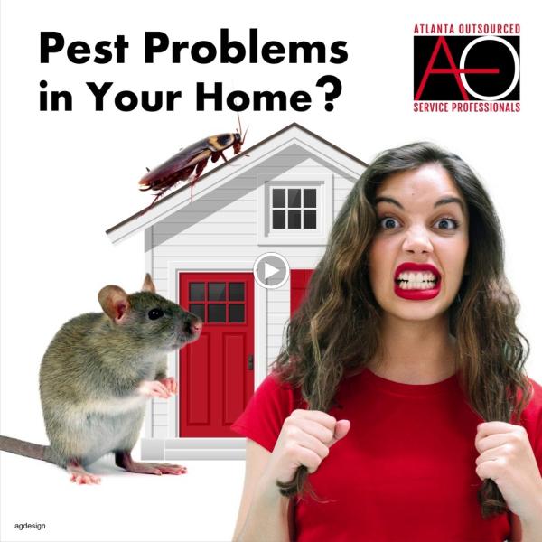 Atlanta Outsourced Service Professionals