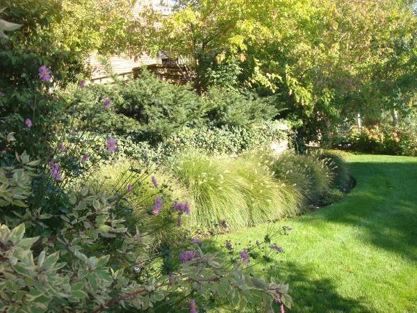 Granados DX Landscaping