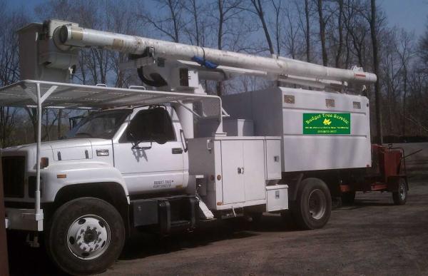 Budget Tree Services
