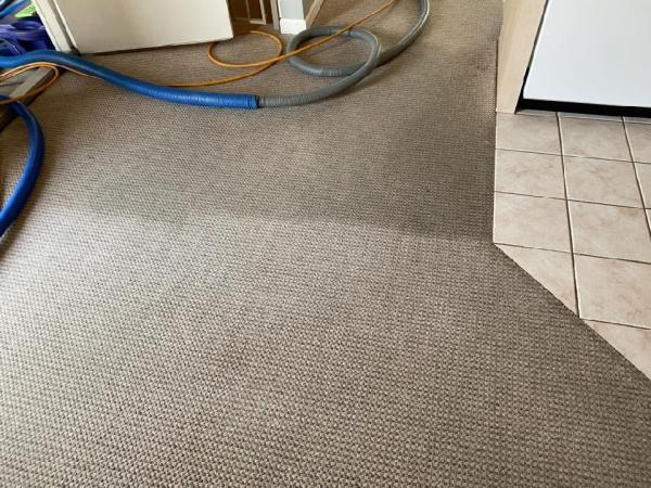 Society Carpet Cleaners