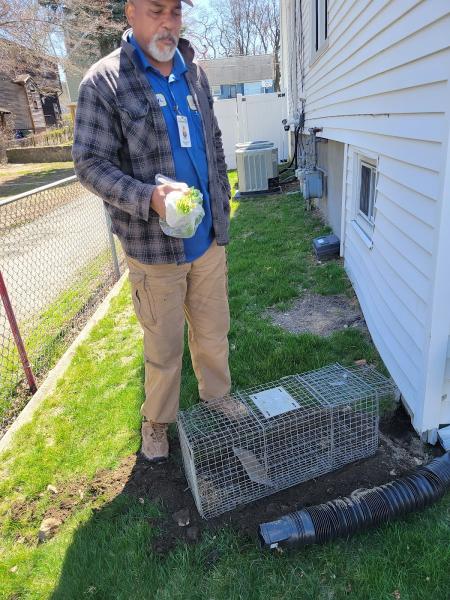 Eliminate 'Em Pest Control Services