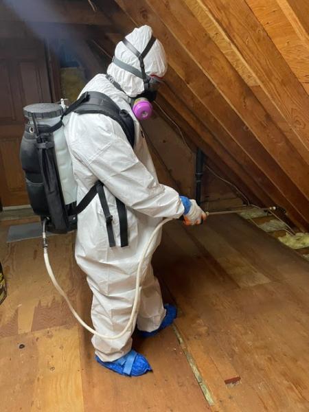 Eliminate 'Em Pest Control Services
