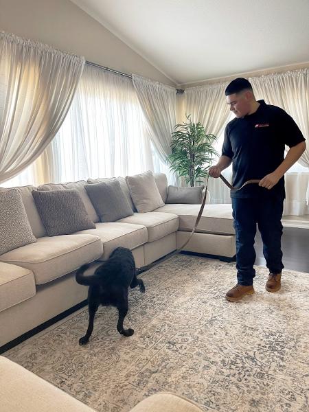 Premier Canine Detection