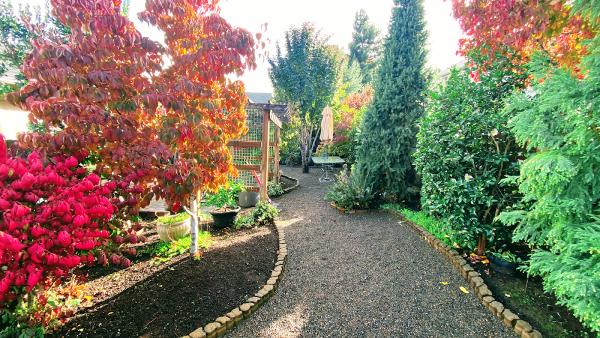 Royal Garden Lawn Maintenance