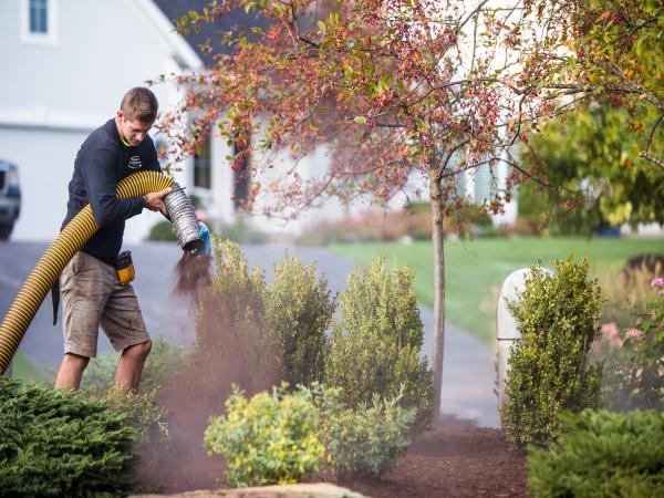 Superior Groundcover