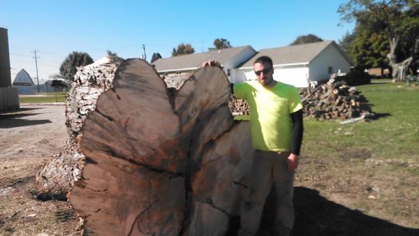 Nate's Tree Care