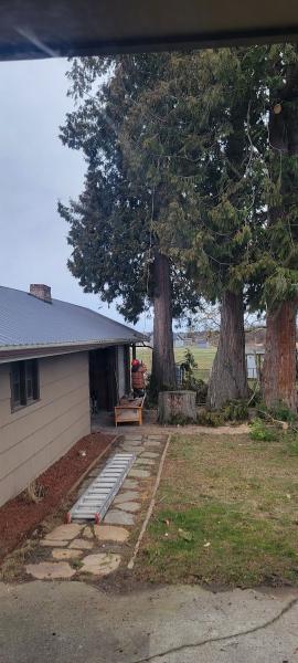 Legacy Tree Care LLC