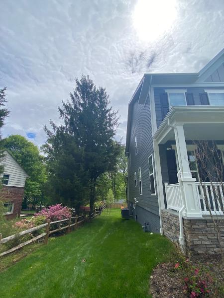 RS Tree & Landscaping Svc Inc