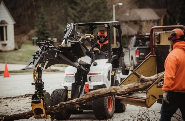 Big Country Tree Services