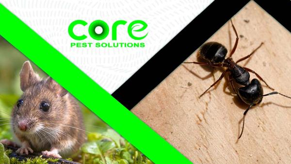 Core Pest Solutions