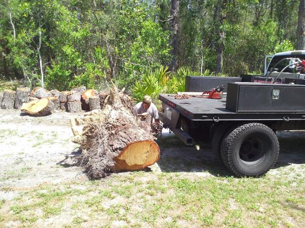 Liberty Tree Care