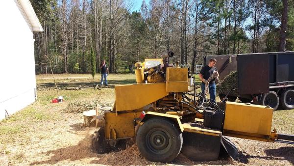Liberty Tree Care