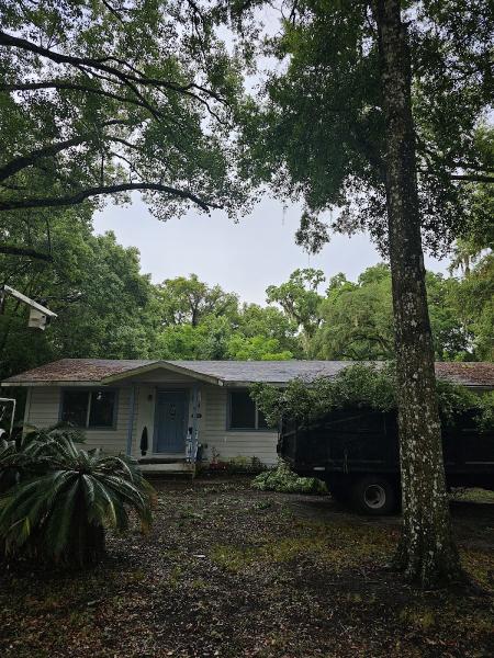 Liberty Tree Care