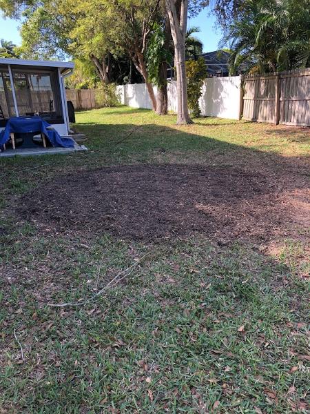 Randy's Stump Removal