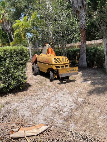 Randy's Stump Removal