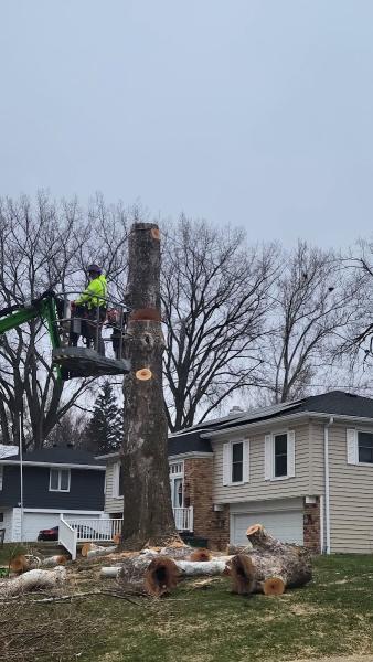 M.p.r Tree Enterprises