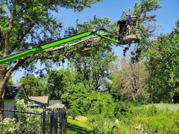 M.p.r Tree Enterprises