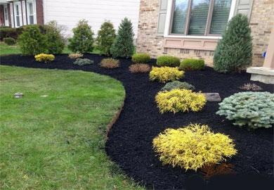 D&S Lawn Service