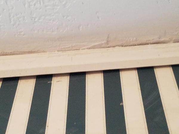 WIS Attic Insulation & Roofing Services Co