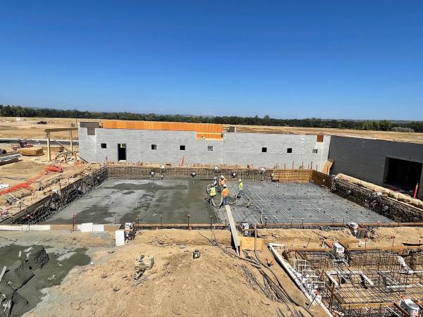 Delta Gunite