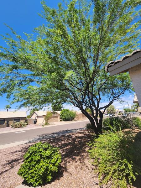 Arbor Tech Arizona