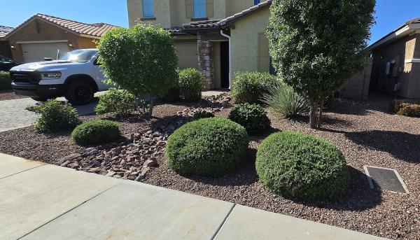 Arbor Tech Arizona