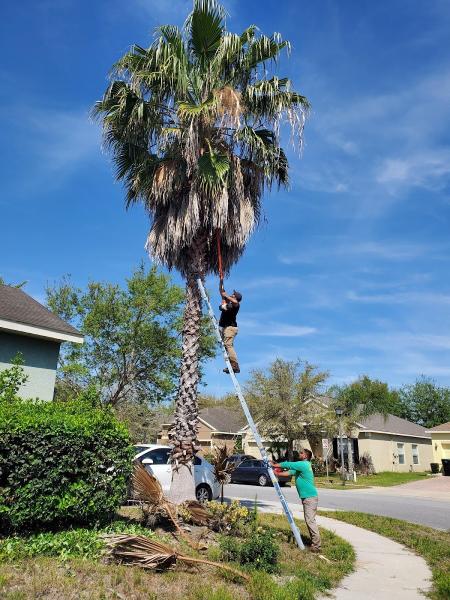Paraiso Landscaping Service