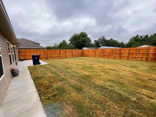 Star Lawn