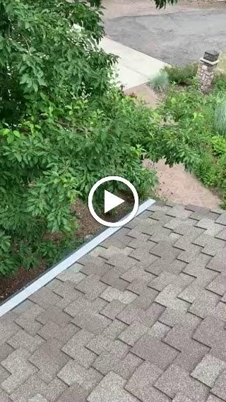 Gutter Guard Experts
