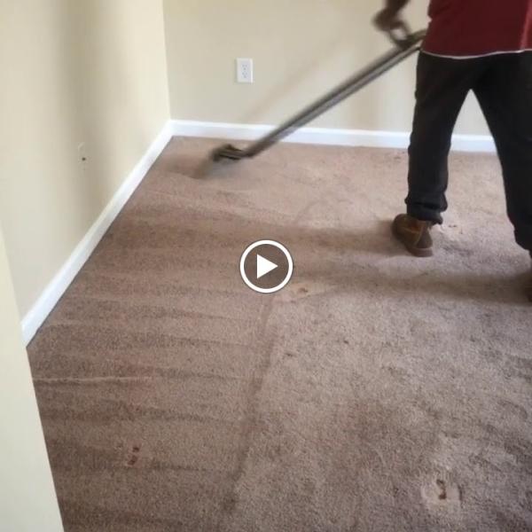Citicarpetcleaning