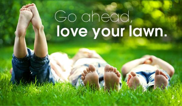 Top Lawn Care and Landscapes LLC