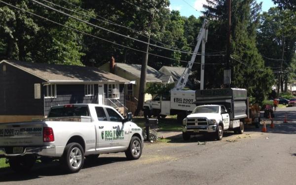 Big Foot Tree Service