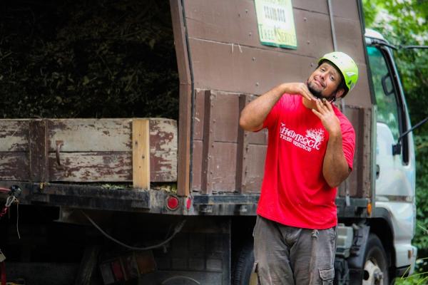 Shamrock Tree Service
